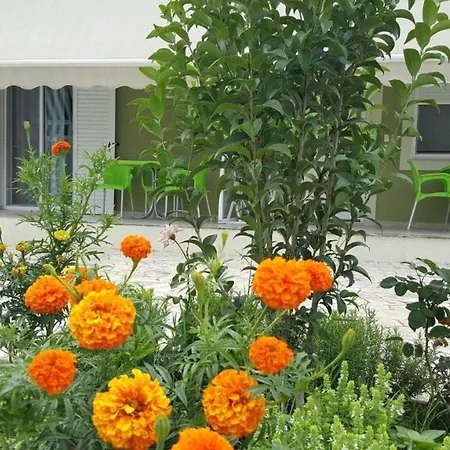 Studio Alkeo Casa rural *